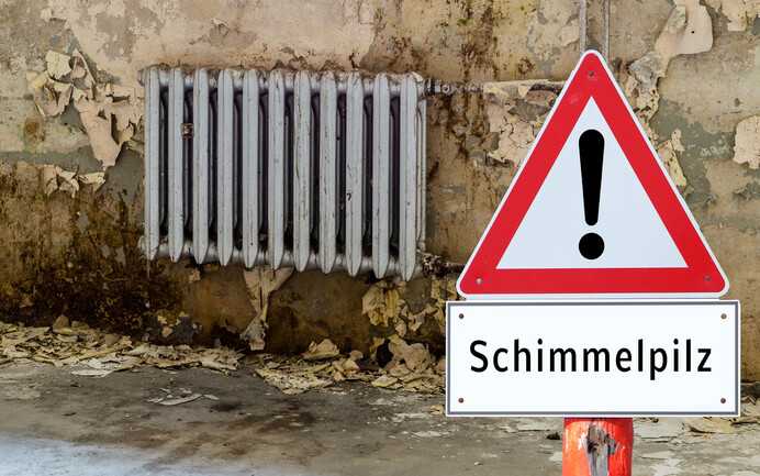 Schimmelpilz in der Wohnung 